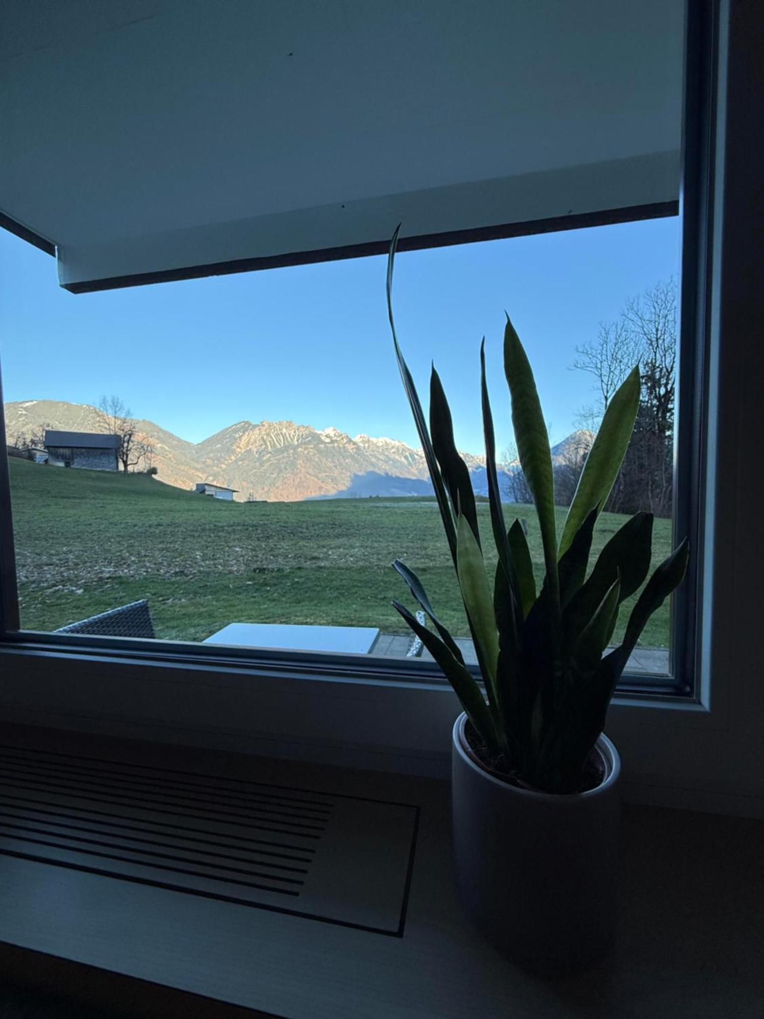 Appartement Bergnest Brandnertal à Bürserberg Extérieur photo